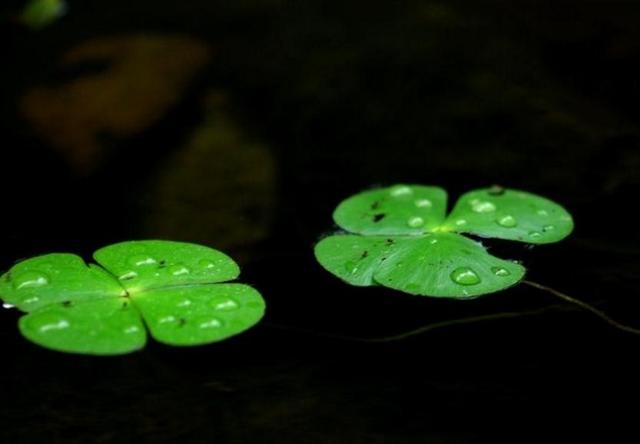 一個人活著,最重要的事情是什麼?
