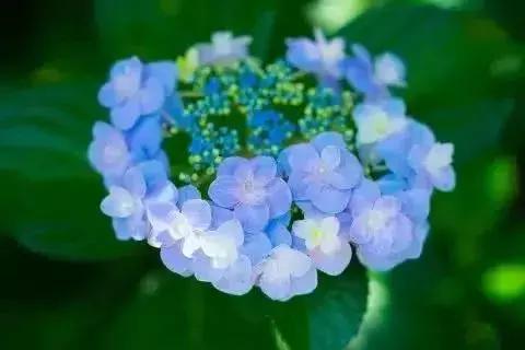 這輩子,一定要寬容的五個人