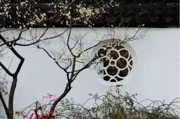 約一程時光,踏雪尋梅