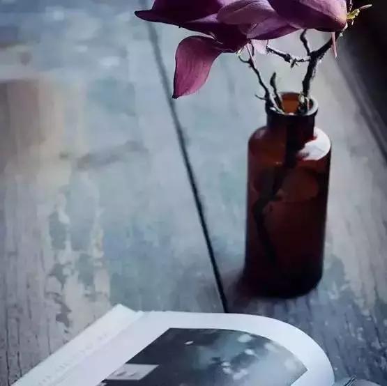 過分善良，也是一種愚鈍