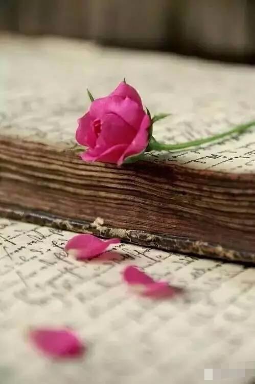 感謝生命中，有一個你！