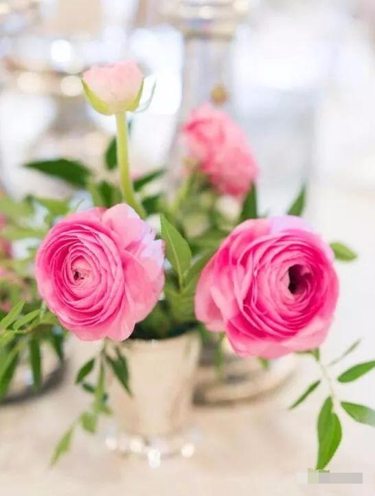 感謝生命中，有一個你！