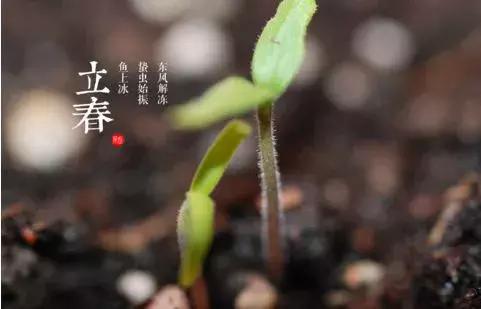 明日立春,養生記住這六個字!