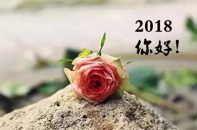2018年,加油! ——致自己