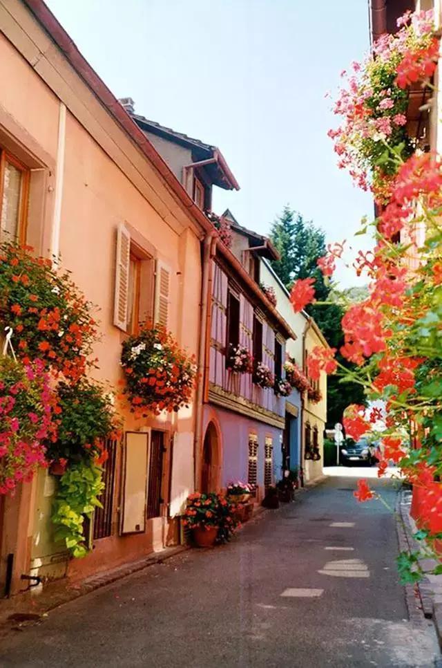 世上最美的鮮花小鎮，美得不成樣子！