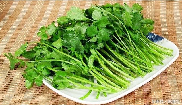 香菜不僅可以降血壓,這些好處你知道幾個? 愛香菜的你不能錯過!