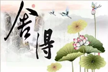 一個舍字，一生的智慧！