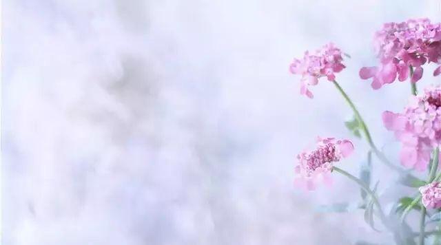 做人，人品排第一