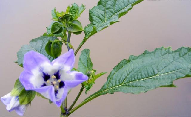 做人太老實總吃虧怎麼辦! 牢記這6點,一定能反敗為勝!