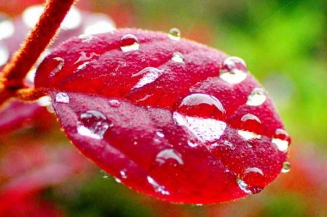 活著,就要好好闖蕩,哪管一路風霜