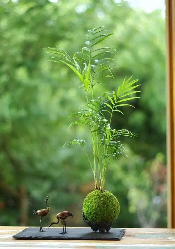 家居篇——打破沉悶感的極簡綠植搭配