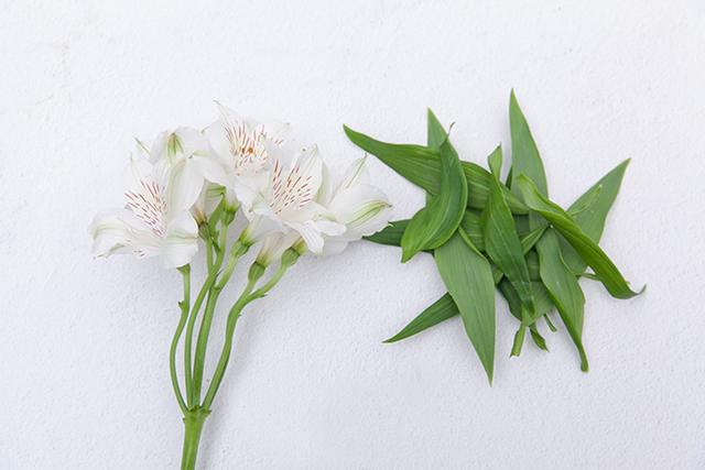 花藝篇丨夢裡戴花的少年