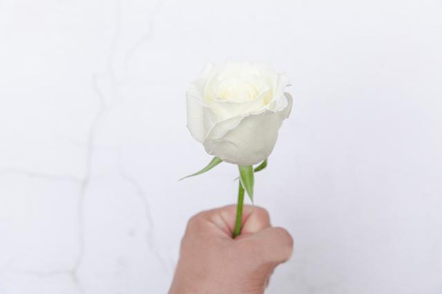 花藝篇丨夢裡戴花的少年