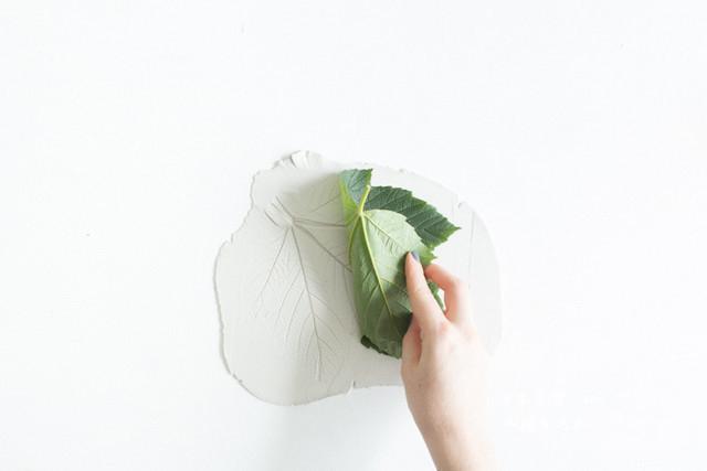 DIY一個粘土樹葉盤，留住樹葉美麗的脈絡