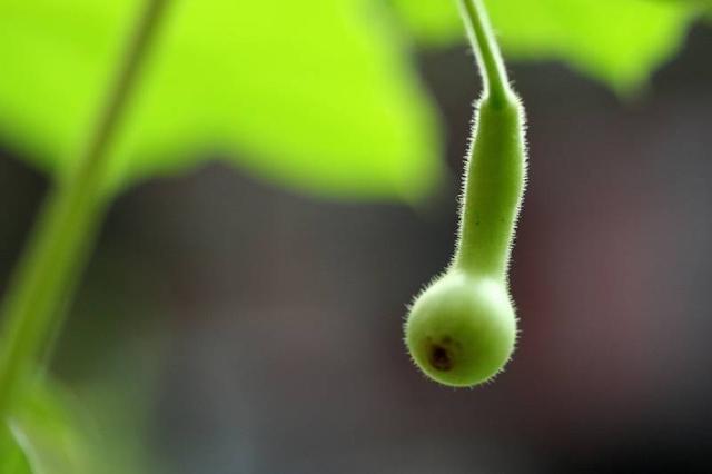 感恩生命裡所有的陪伴