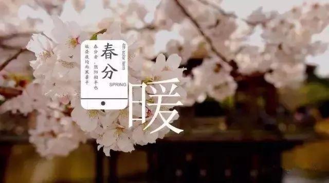 詩詞中,藏著最美的春分!