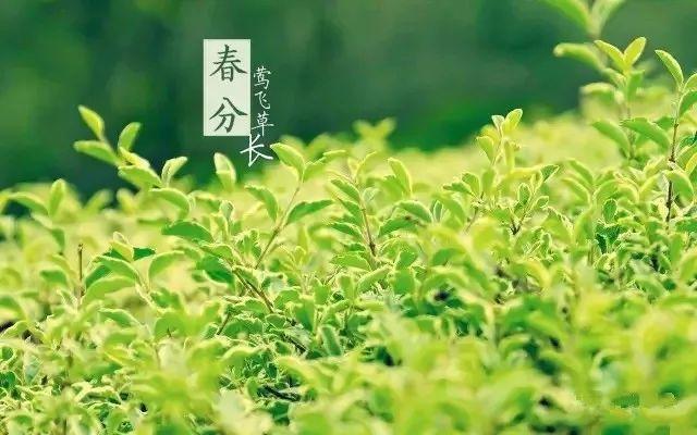 詩詞中,藏著最美的春分!