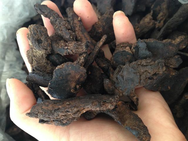 傳統中醫妙方治療扁桃體炎,“一針見血”事半功倍!