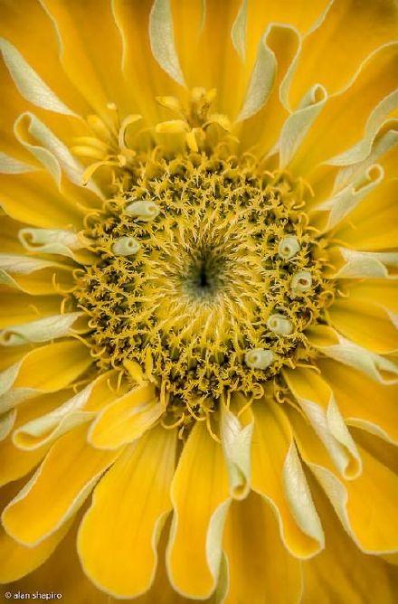 歲月殘敗了年華，思念替代了誓言