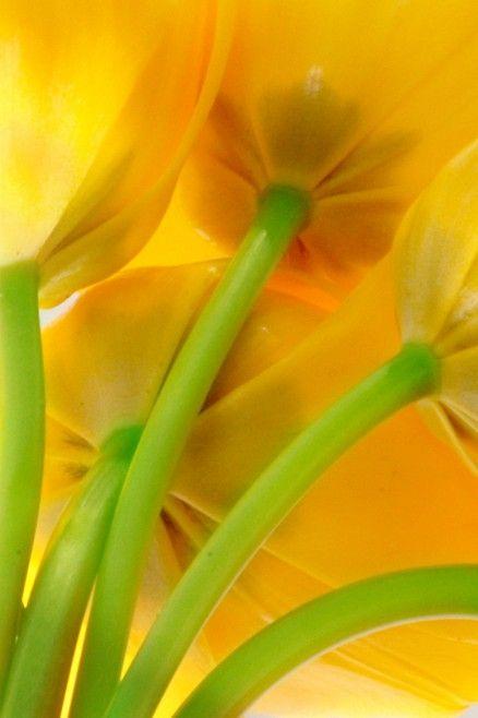 歲月殘敗了年華，思念替代了誓言