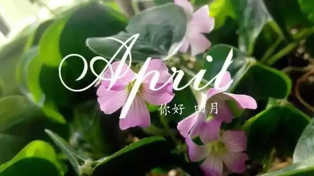 四月,你好,從現在起,做好自己