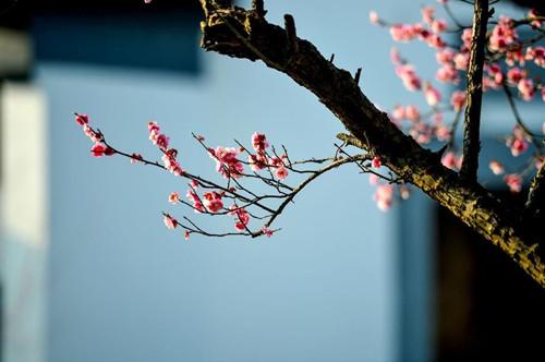 這些句子美到心碎