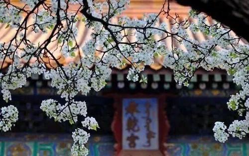 這些句子美到心碎