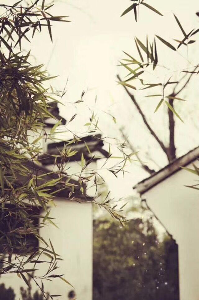 浮華世間生命最美的境界是安寧