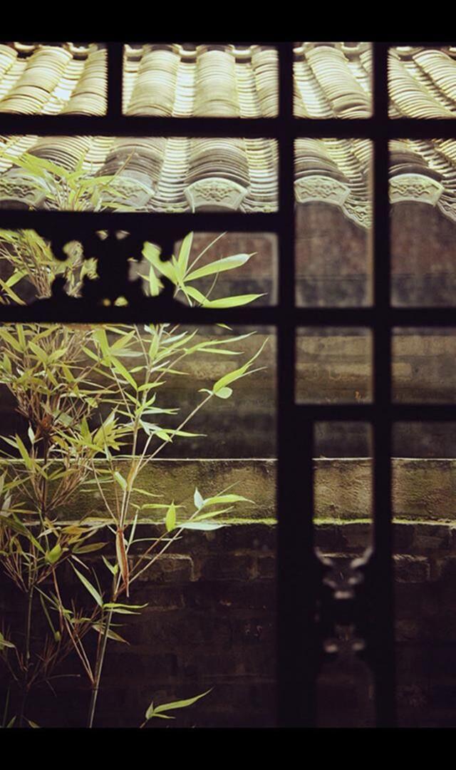 浮華世間生命最美的境界是安寧