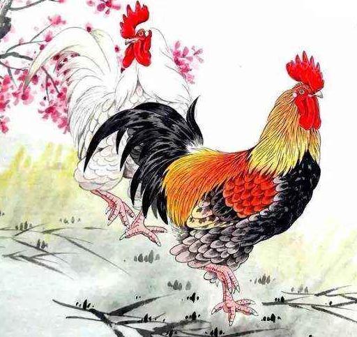 這兩大生肖結婚是“財神配”，婚前窮吵架，婚後有錢又纏綿！