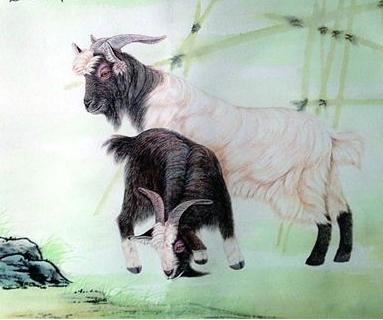 這兩大生肖結婚是“財神配”，婚前窮吵架，婚後有錢又纏綿！