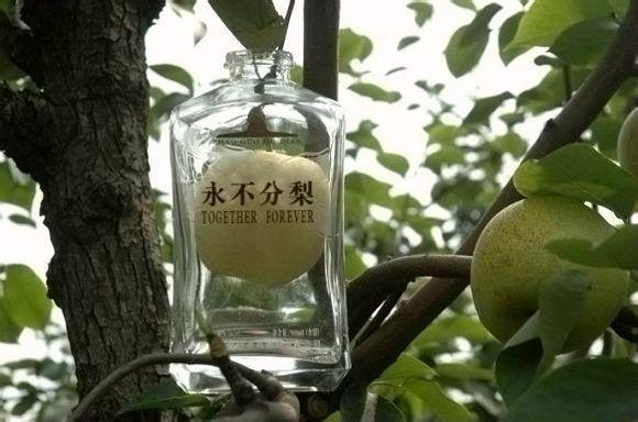 英國超市售賣這種心形黃瓜,銷量很高,其實中國農民玩的更新奇