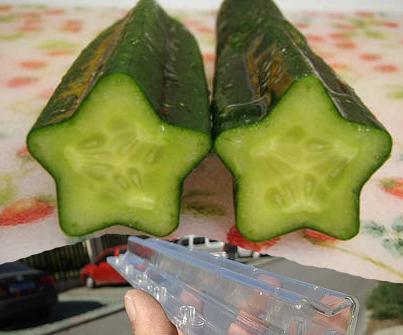 英國超市售賣這種心形黃瓜，銷量很高，其實中國農民玩的更新奇