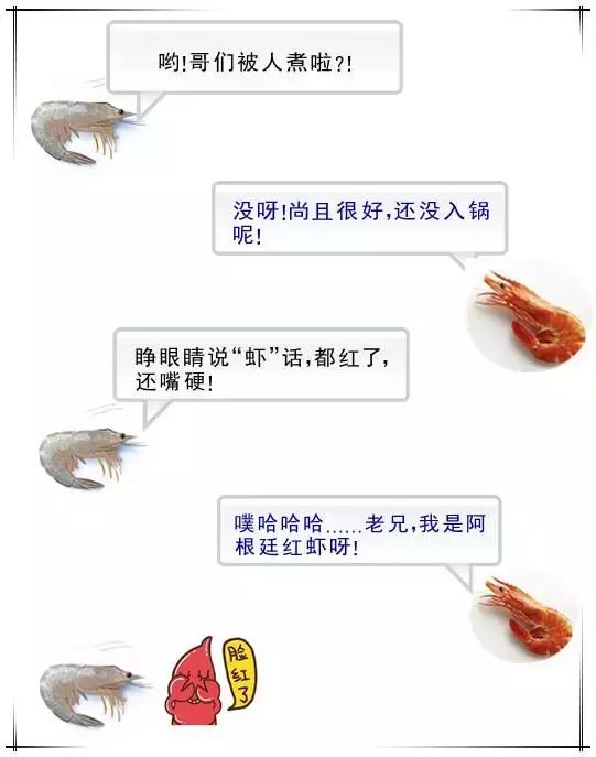 阿根廷紅蝦才是刺身料理界的寵兒,看著真讓人垂涎欲滴!
