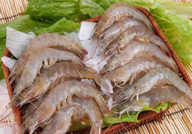 阿根廷紅蝦才是刺身料理界的寵兒，看著真讓人垂涎欲滴！