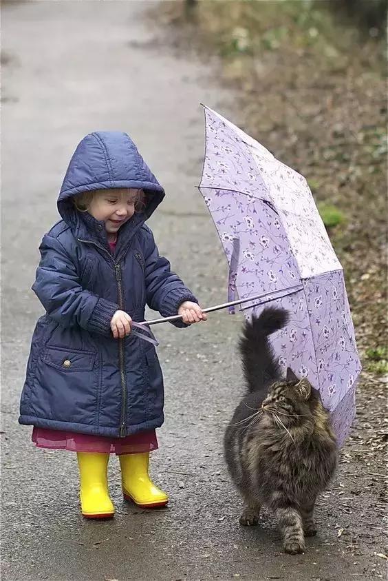 朋友就是大雨中的傘