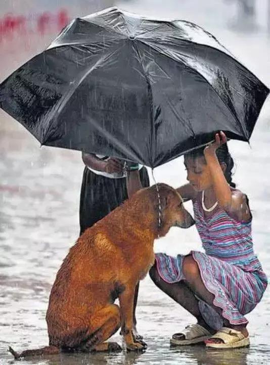 朋友就是大雨中的傘