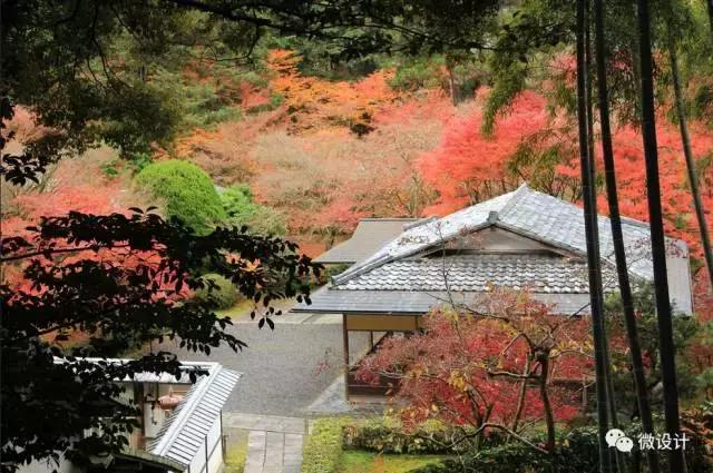 日本最美的15個禪意庭院