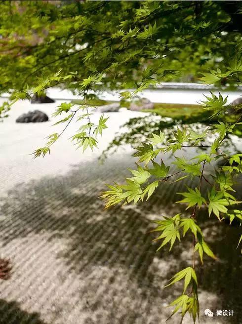 日本最美的15個禪意庭院