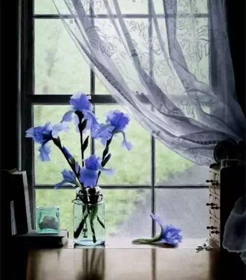 生命的美，在於寧靜