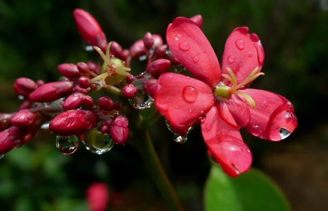 人到四十，要有三愛