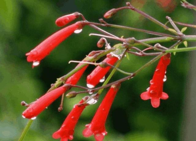 人到四十，要有三愛