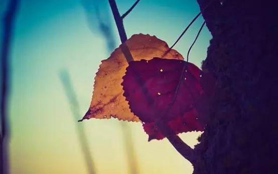 人到中年，得失隨緣！