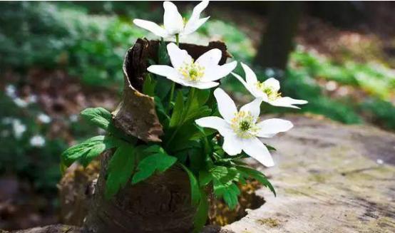 人到中年，得失隨緣！