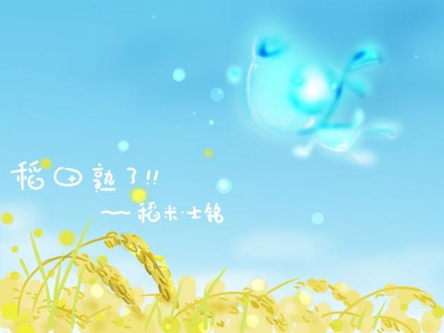 不懂別亂說，懂了別多說，有話慢慢說