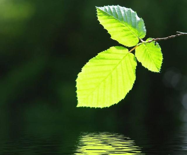 做人，最好的教養：不給別人添麻煩
