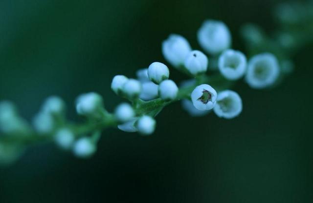 一個人，真正的心傷，是：不說，不解釋，不流淚
