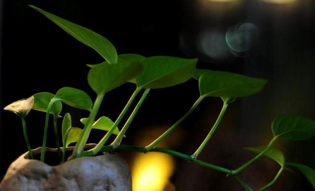 一個人，真正的心傷，是：不說，不解釋，不流淚