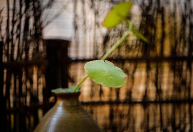 一個人，真正的心傷，是：不說，不解釋，不流淚