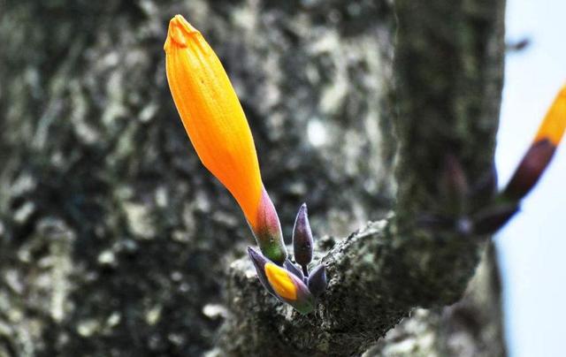 做人，落魄的時候才明白：一切，只能靠自己